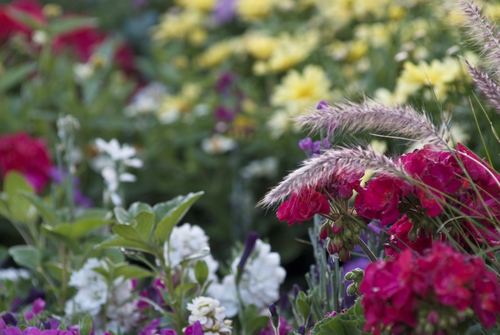We Can Plant 4 Months From Today! Take these 3 Steps to Prep Your Garden.