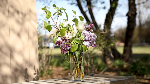 3 Custom Living Mother's Day Gift Ideas 2020