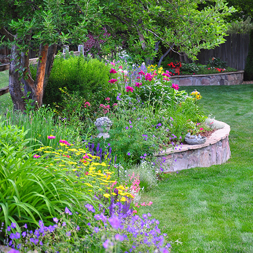 GRO-LOW SUMAC: Our Favorite Colorado Plant Featured in Colorado Homes & Lifestyles