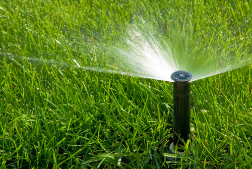 Tip of the Week: Use tech to save water and money