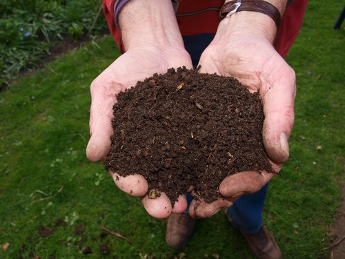 Tip of the Week: Why you should compost your yard waste