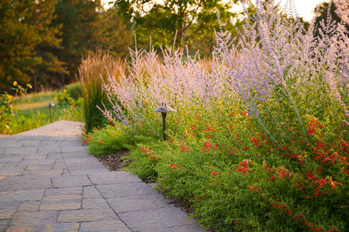 What is ColoradoScaping?