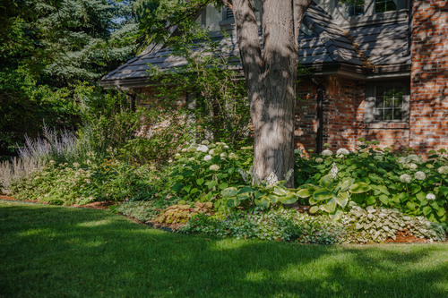 4 Tips for Outdoor Water Savings