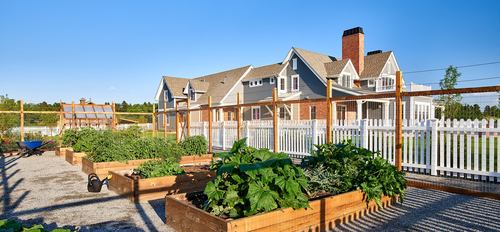 How about starting your garden?
