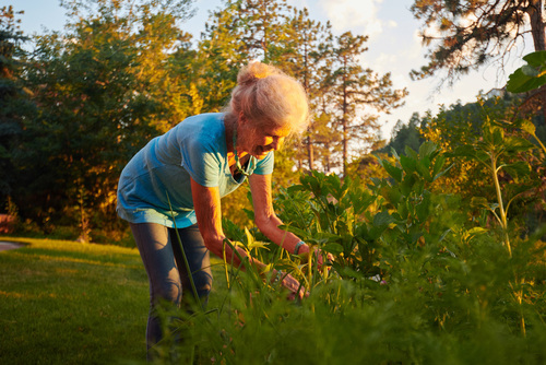 The New Standard of Colorado Landscaping: “Coloradoscaping” or Xeriscaping for the Modern Home