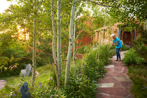 Phil Steinhauer contributes to Houzz's 10 Things to Consider for a Sustainable Landscape Design