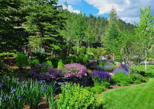 Your Guide to Conquering Spring