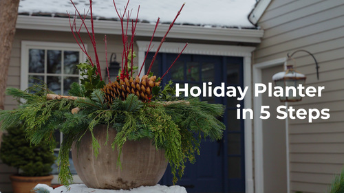 How to Make Holiday and Christmas Planters Like a Pro