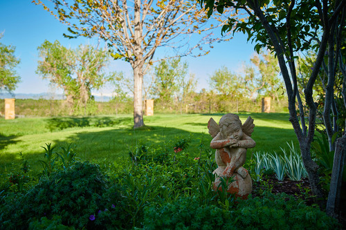 5 Tips to Prepare for Growing Season in Colorado